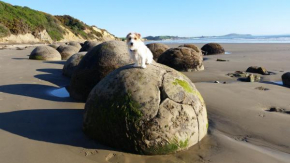 Moeraki Boulders Motel